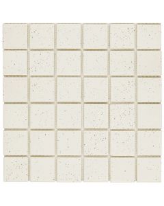 30.6x30.6 4.8x4.8x6 UNGLAZED WHITE SPECKLE MOSAIC MATT tile